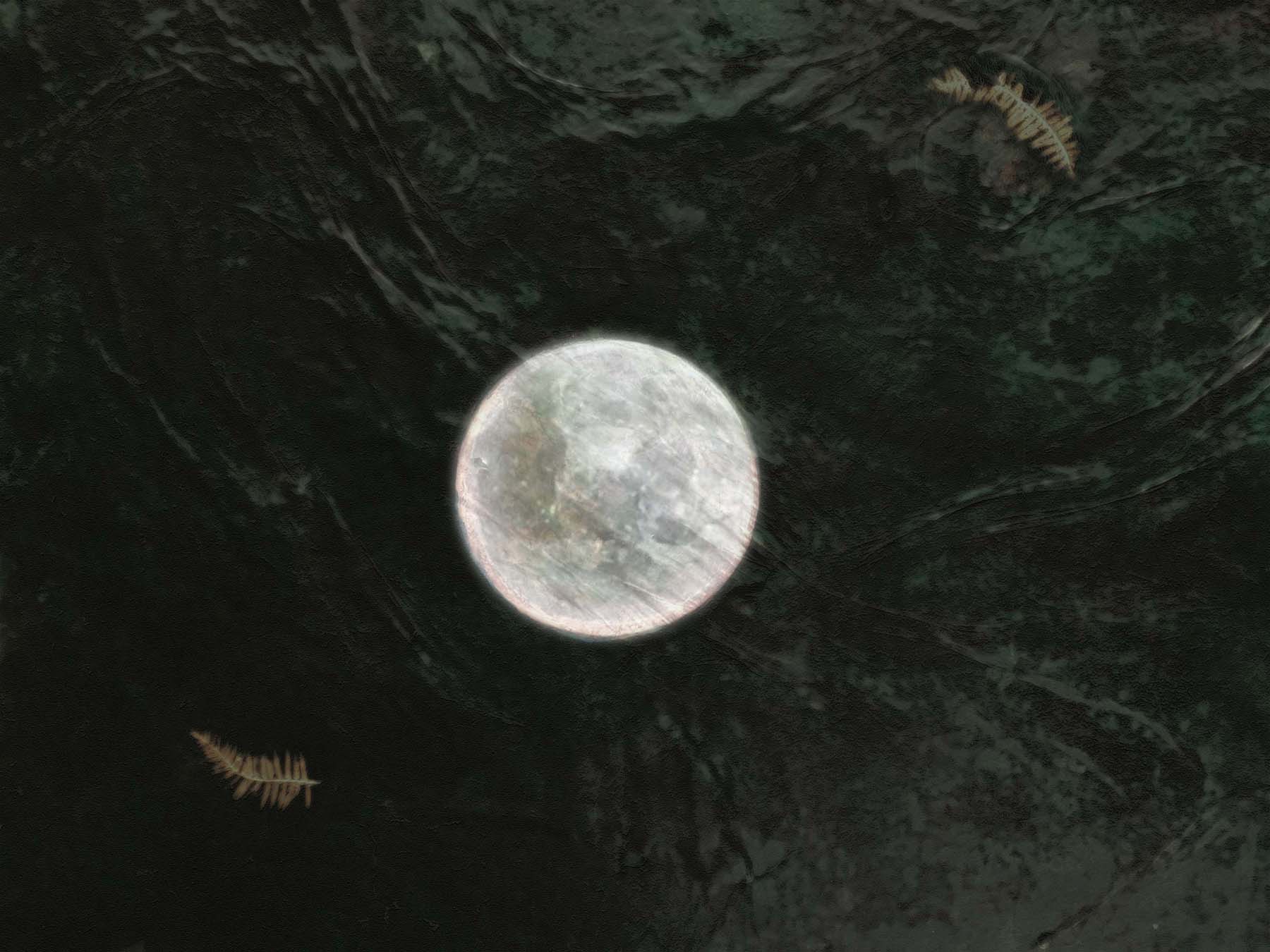 水鏡 Moon in the Mirror